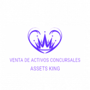 Logo de Assets King