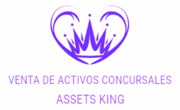 Assets King